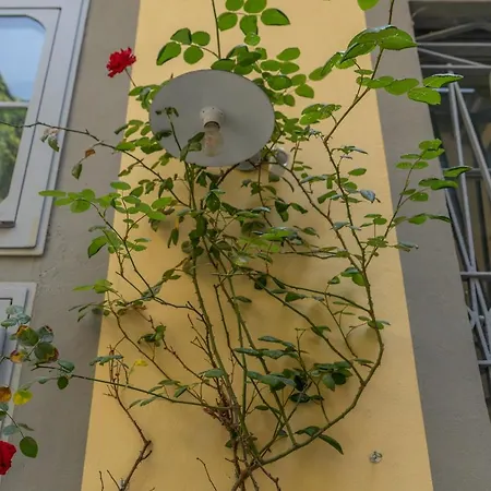 Duomo Smart 밀라노